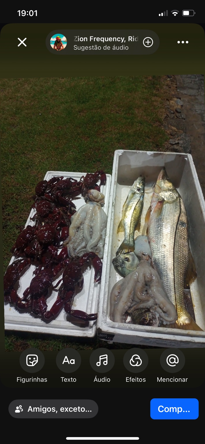 Registro de pesca 6